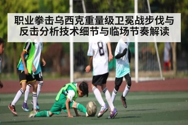 职业拳击乌西克重量级卫冕战步伐与反击分析技术细节与临场节奏解读